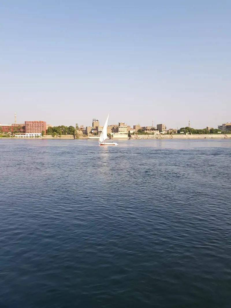 Image 3 of 5, Luxor in a day