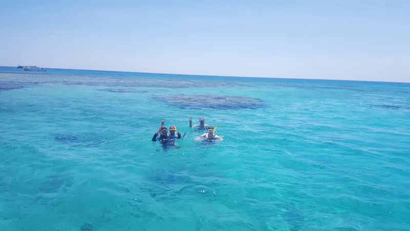 Bild 3 von 5, Paradise Island