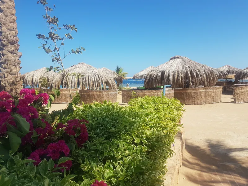 Bild 4 von 5, Sharm el Naga